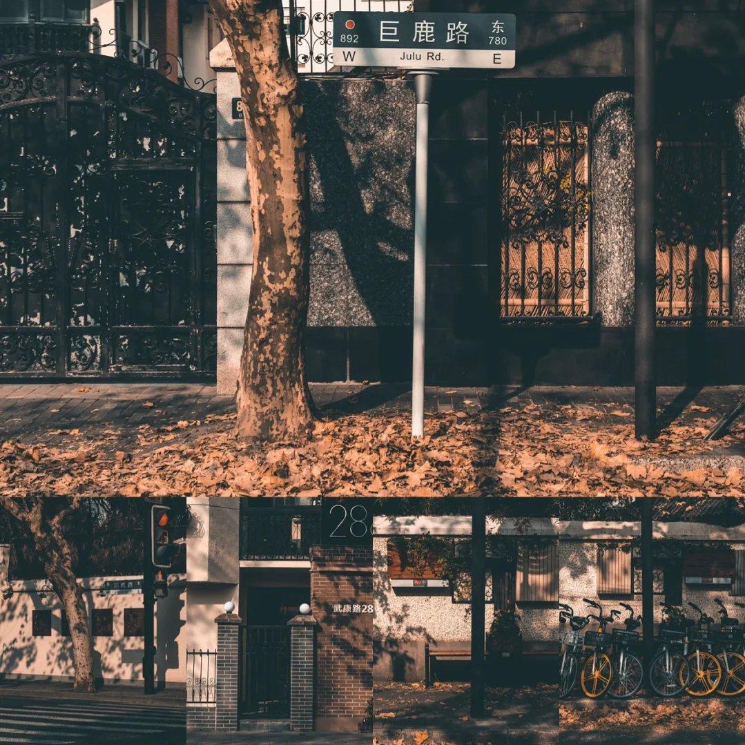 隔壁老王的新欢