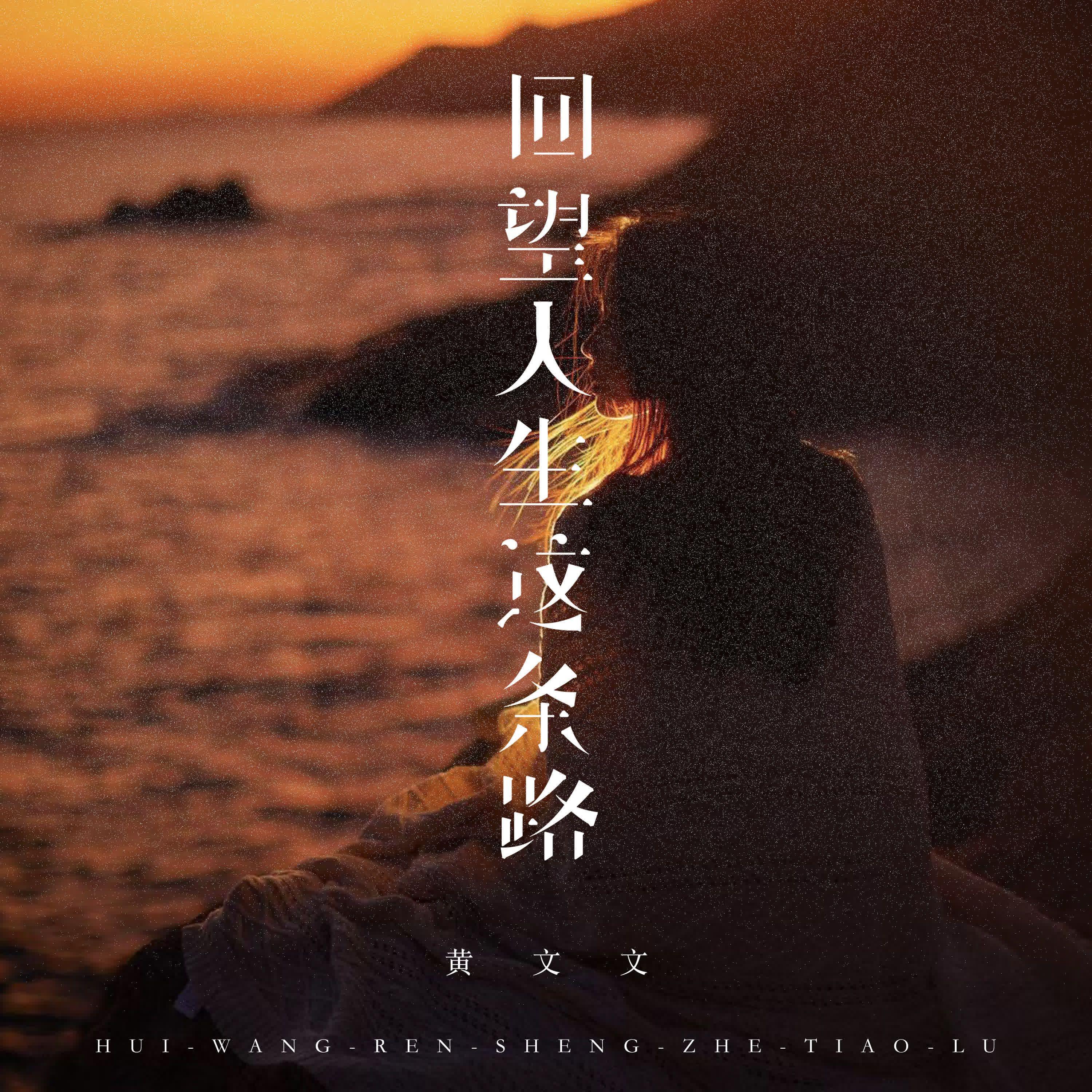 回望人生这条路（DJEva版）