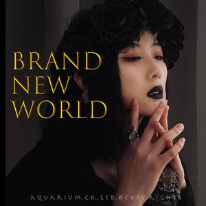 D-51-Brand New World 伴奏 （升6半音）