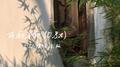西厢寻他 (0.8x 完整版)专辑