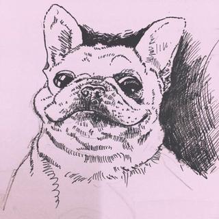 民谣，梦想与狗