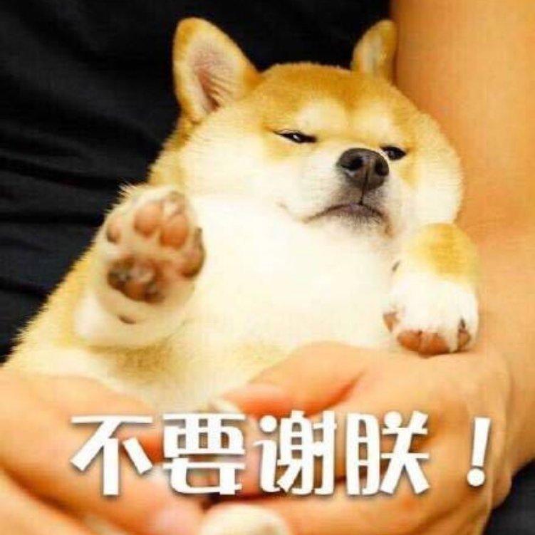 【安静学习】提高效率我们一起背单词好不好 | 在线播放 | 网易云音乐