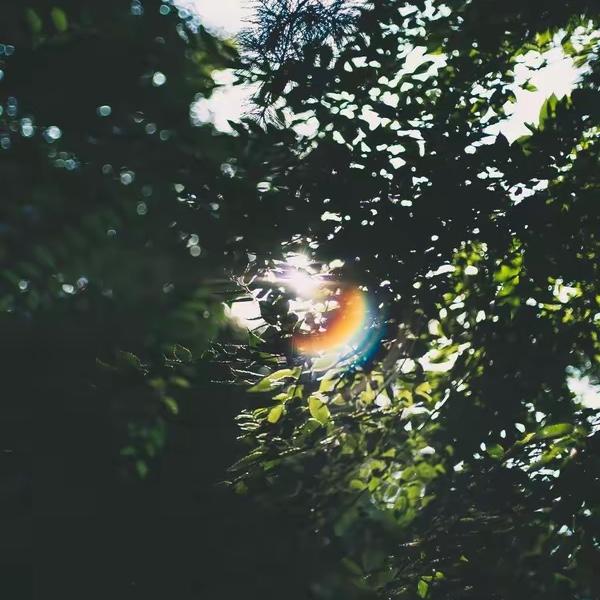 Peaches