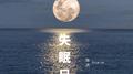 失眠日记专辑