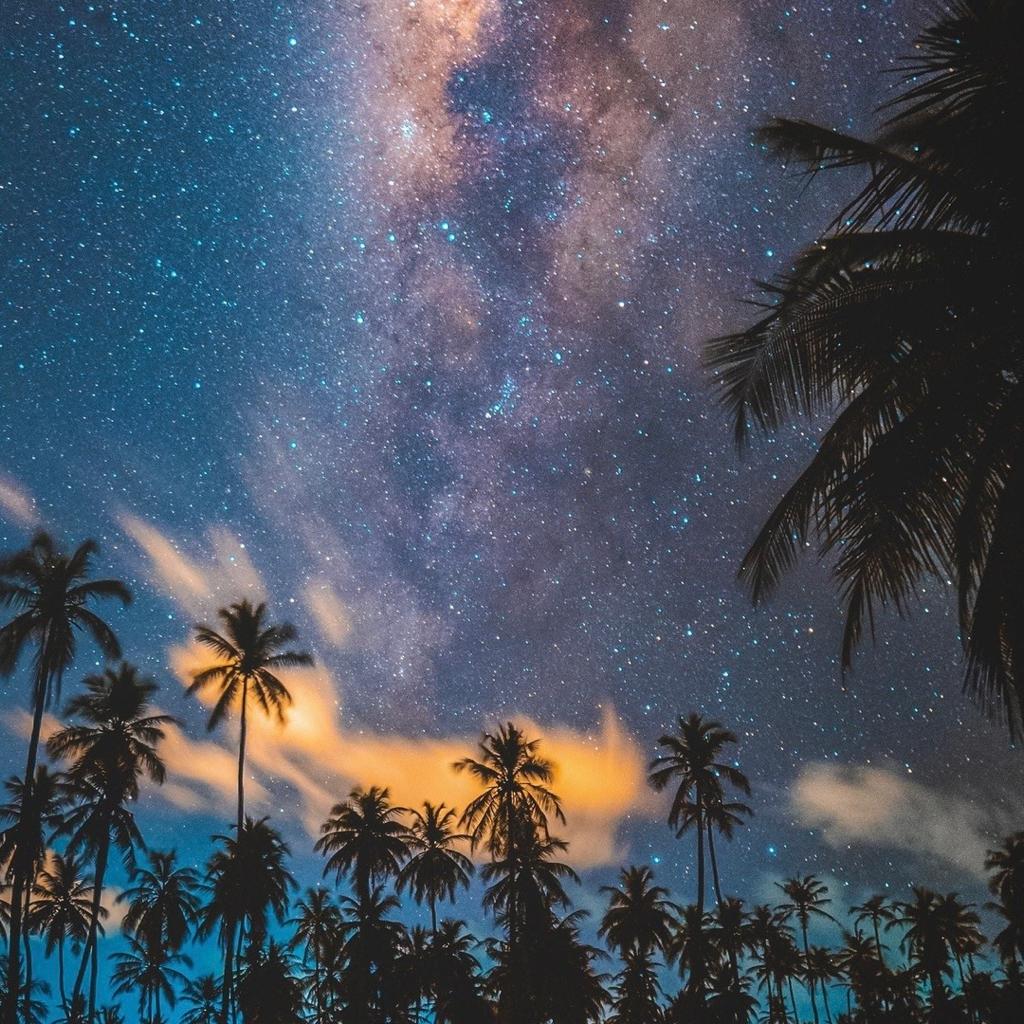 静心纯音：夜晚请你仰望星空
