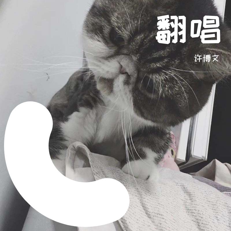 翻唱