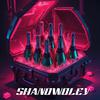 AONE BEATZ - Shanowoley