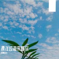 樊芳斌 - 西风烈烈来看你(原版立体声伴奏)