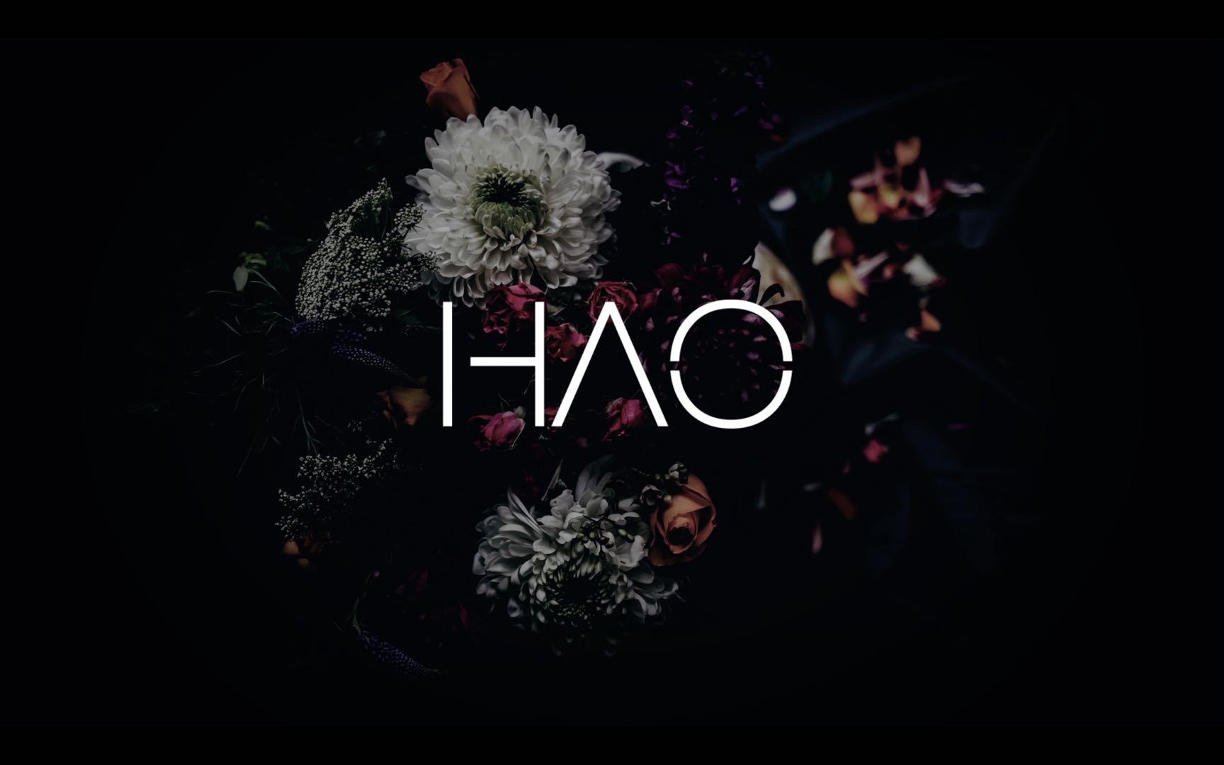 HAO’s cover Ⅱ专辑