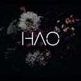 HAO’s cover Ⅱ