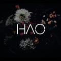 HAO’s cover Ⅱ