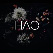 HAO’s cover Ⅱ