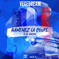 Ramenez la coupe à la maison - Vegedream (BB Instrumental) 无和声伴奏