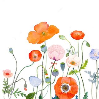 薄荷阅读30期-Sophie晚安曲