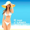 20 Songs of Summer Nights 2013专辑