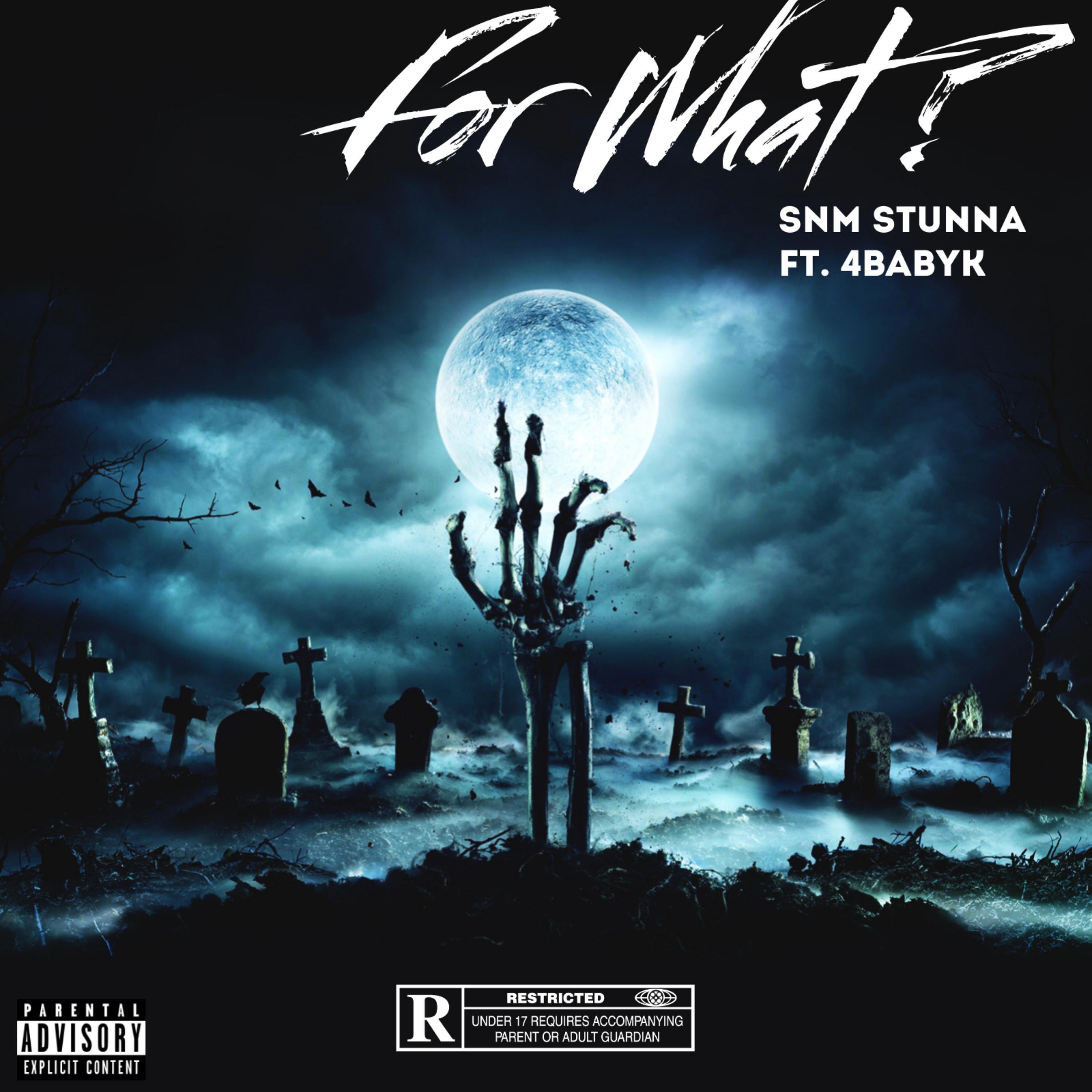 SNM Stunna - For What ?