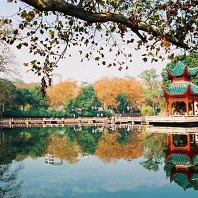 青春告白祖国