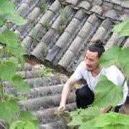 道教真妙经文咒语