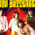 Iron Butterfly