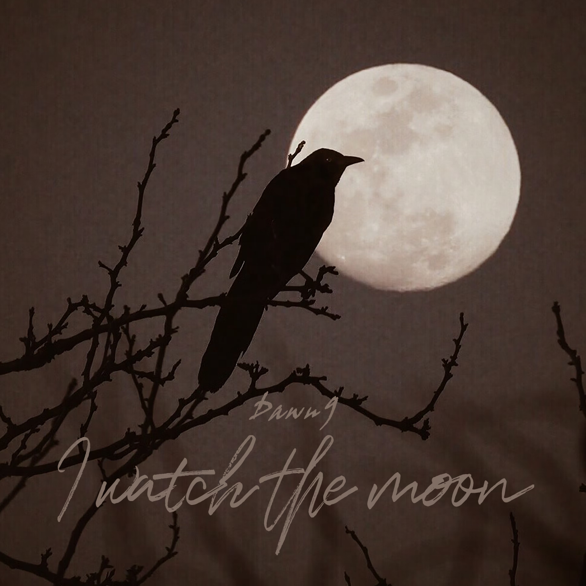 I catch the moon.专辑