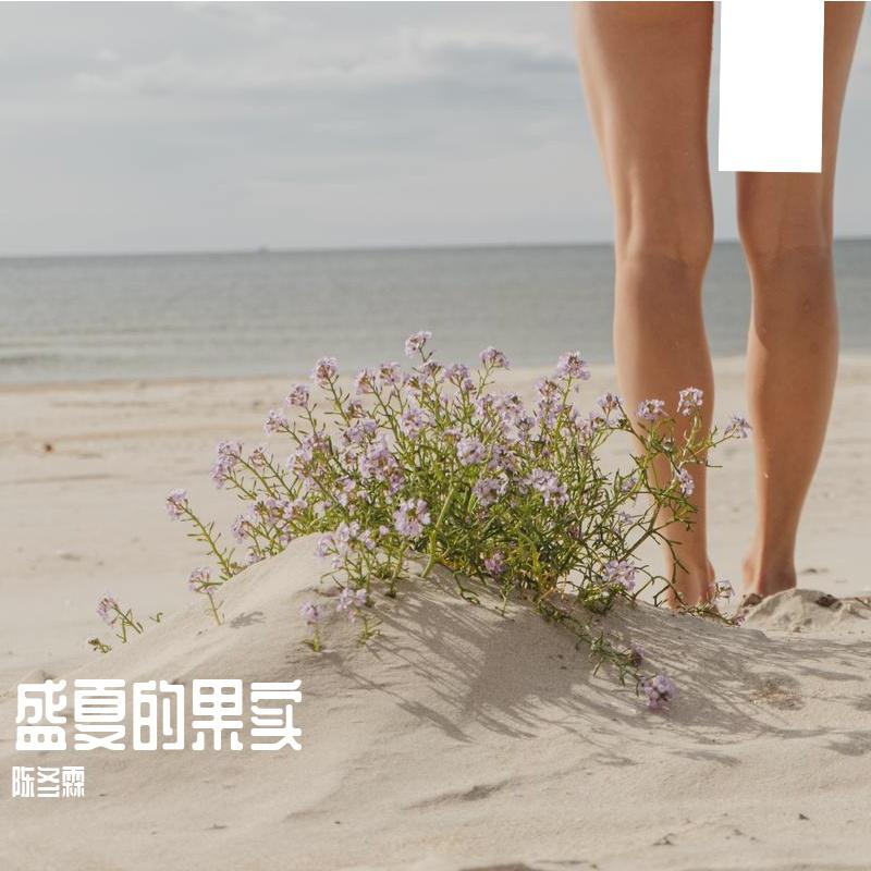 盛夏的果实
