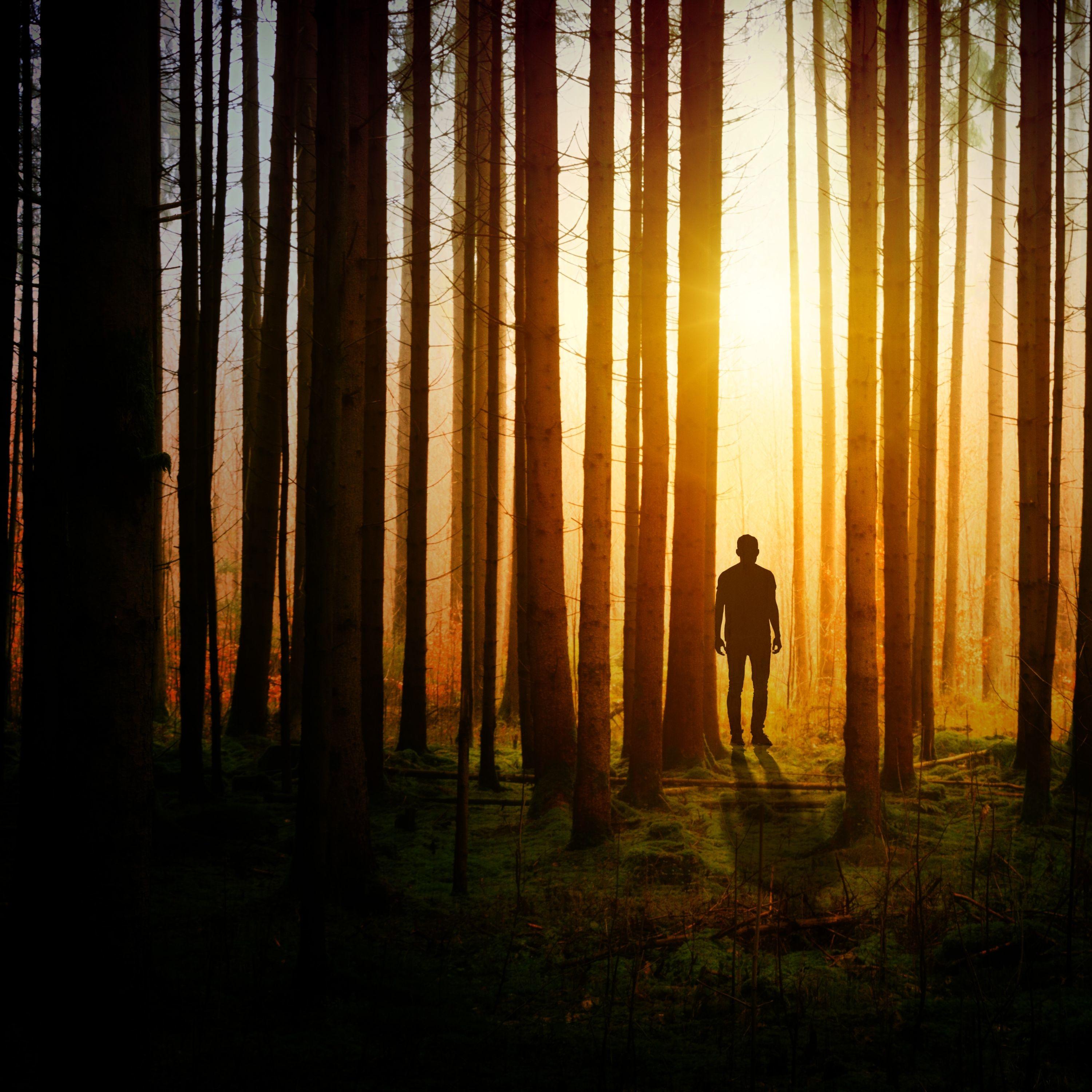 40 Stress Relief Classics for Complete Relaxation