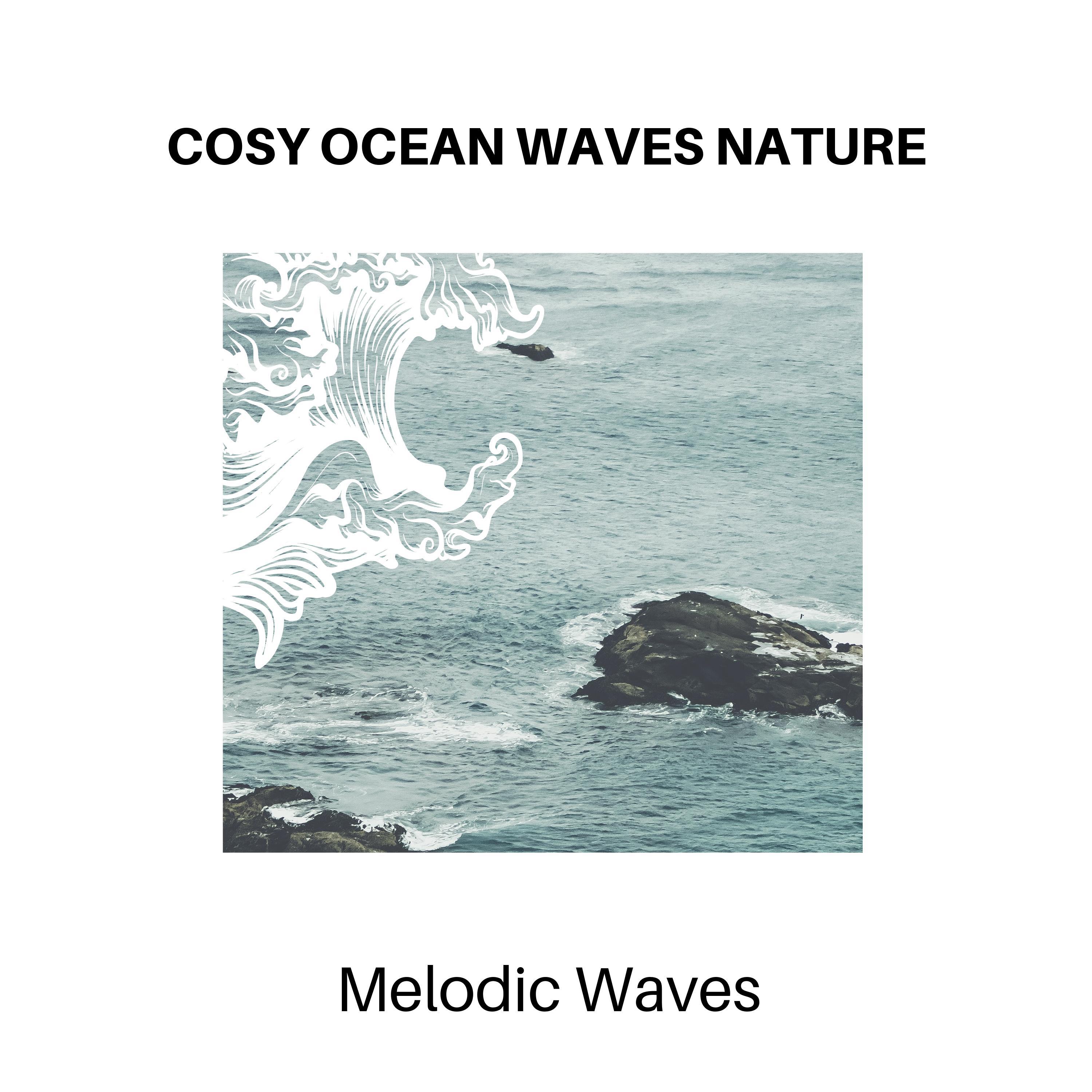Auspicious Nature Music Library - Slow Motion Ocean Closeup