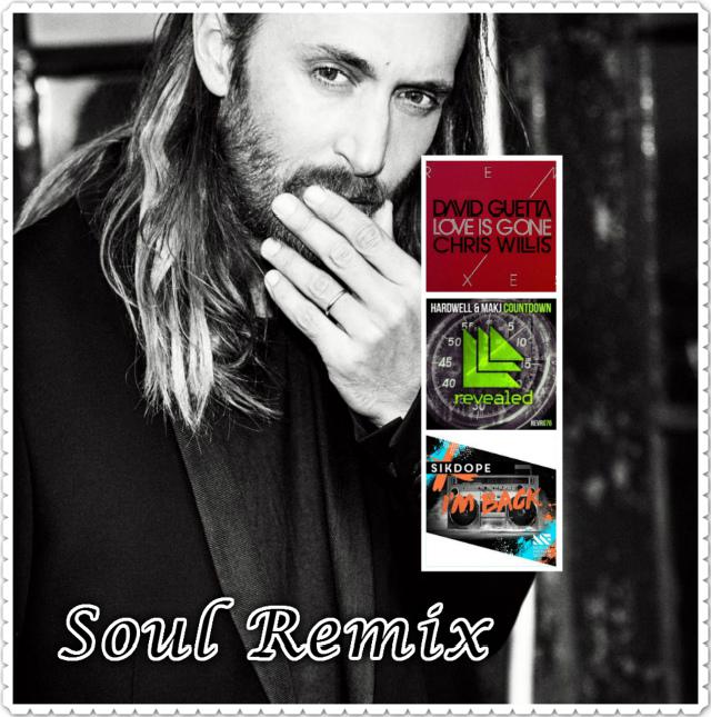 David Guetta - Love Is Gone  (Soul Mashup)专辑