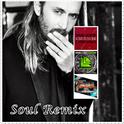 David Guetta - Love Is Gone  (Soul Mashup)专辑