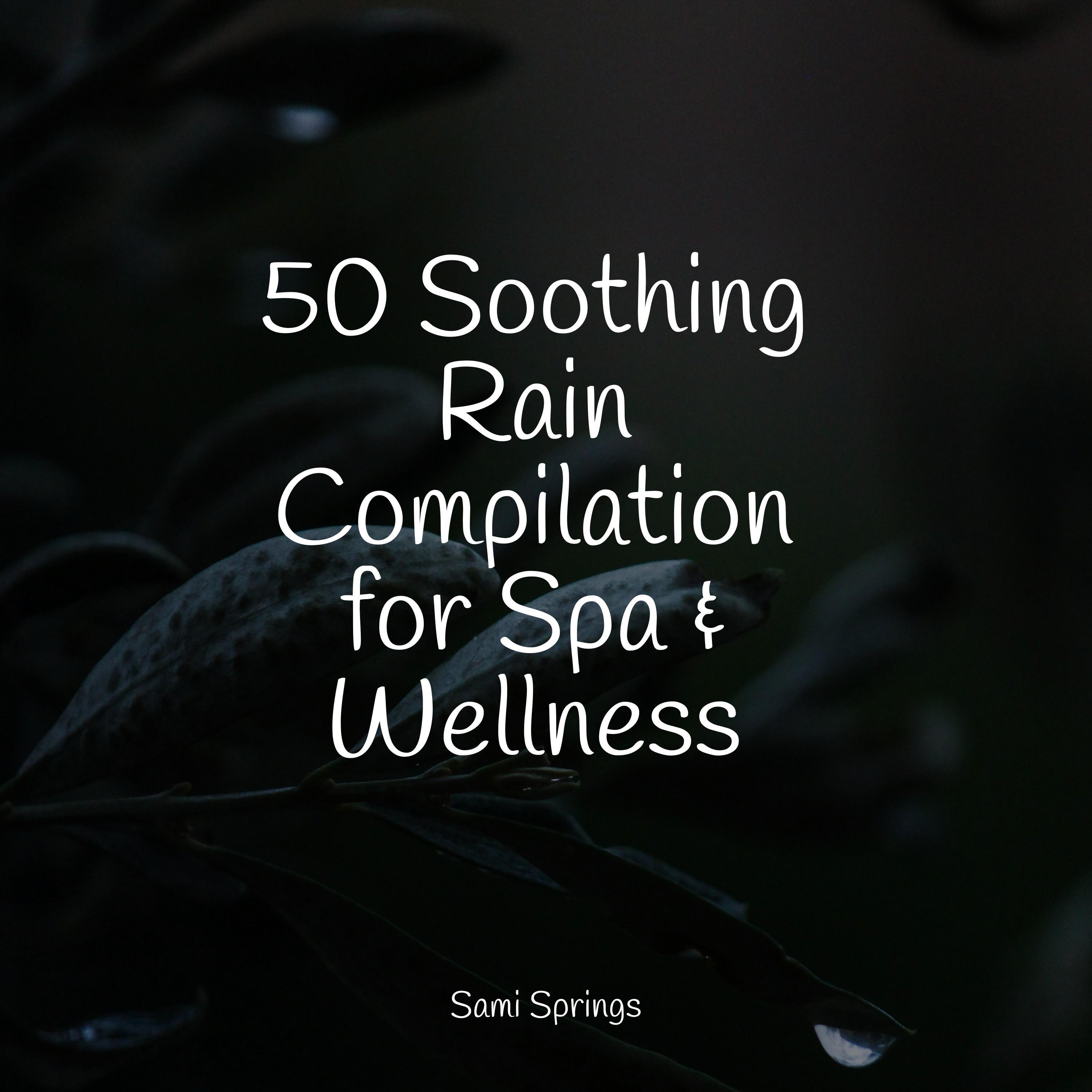 Relaxation Sleep Meditation - Rain, Leaves, Morning