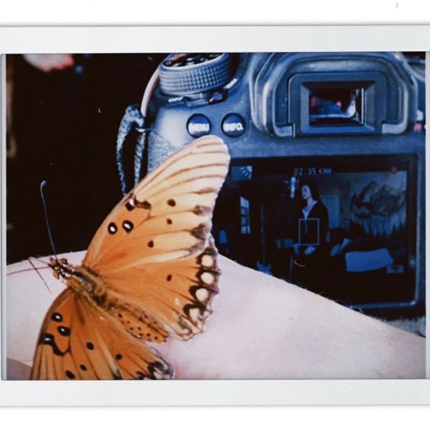 Butterfly Effect (Acoustic)