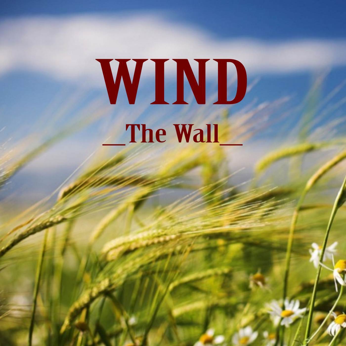 Wind