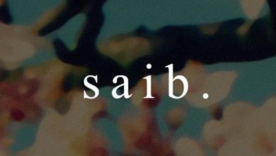 saib.