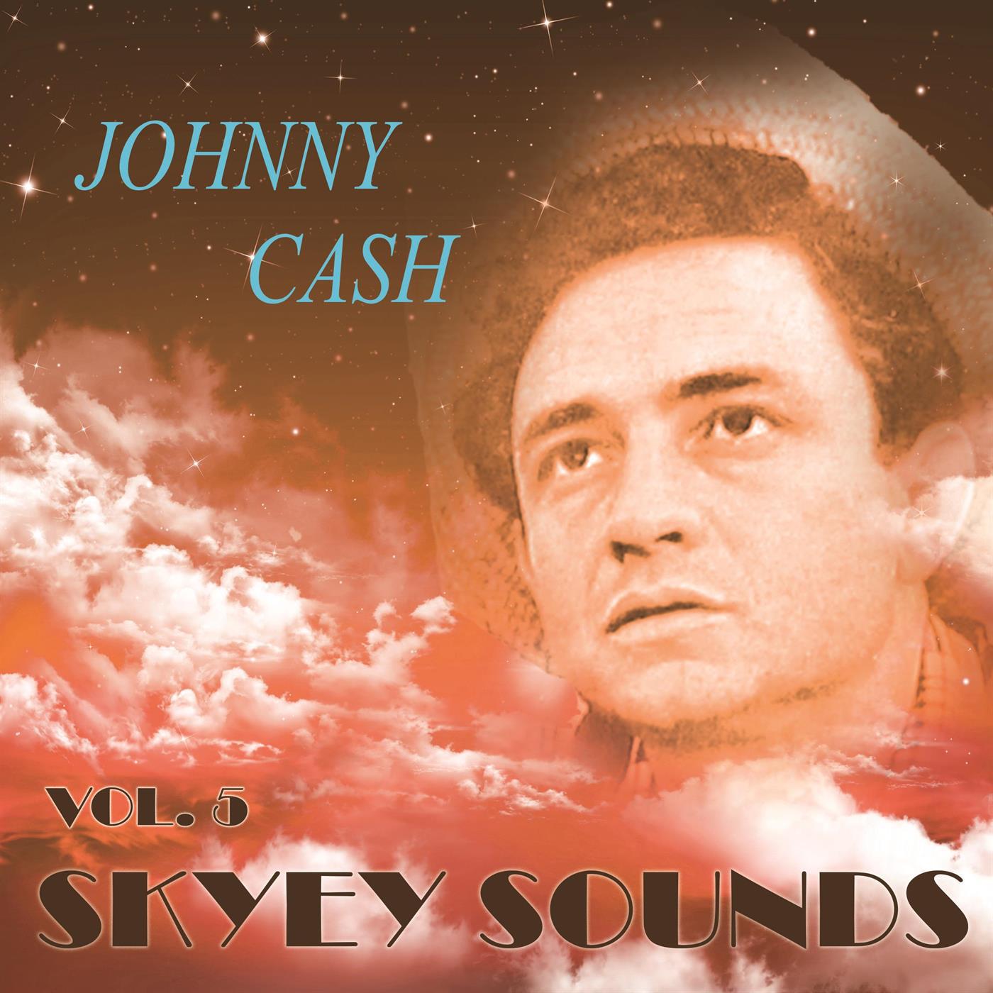 Skyey Sounds Vol. 5专辑