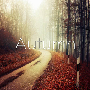 Autumn【秋】 （升6半音）