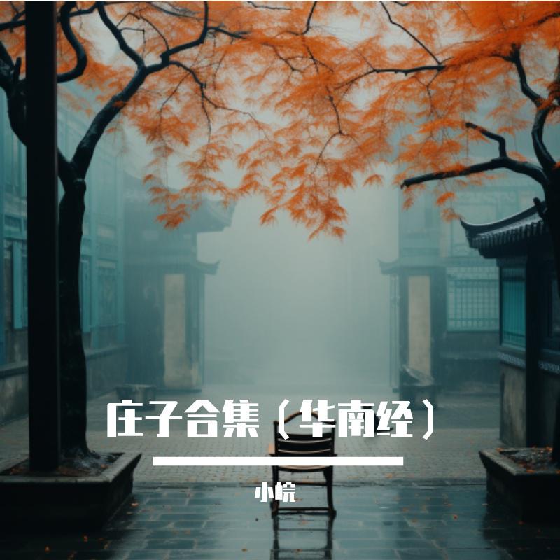 小皖 - 应帝王