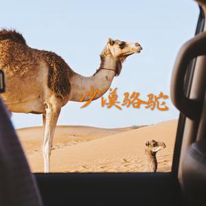 沙漠骆驼 展展&罗罗 (DJ版) (精消 带伴唱)伴奏