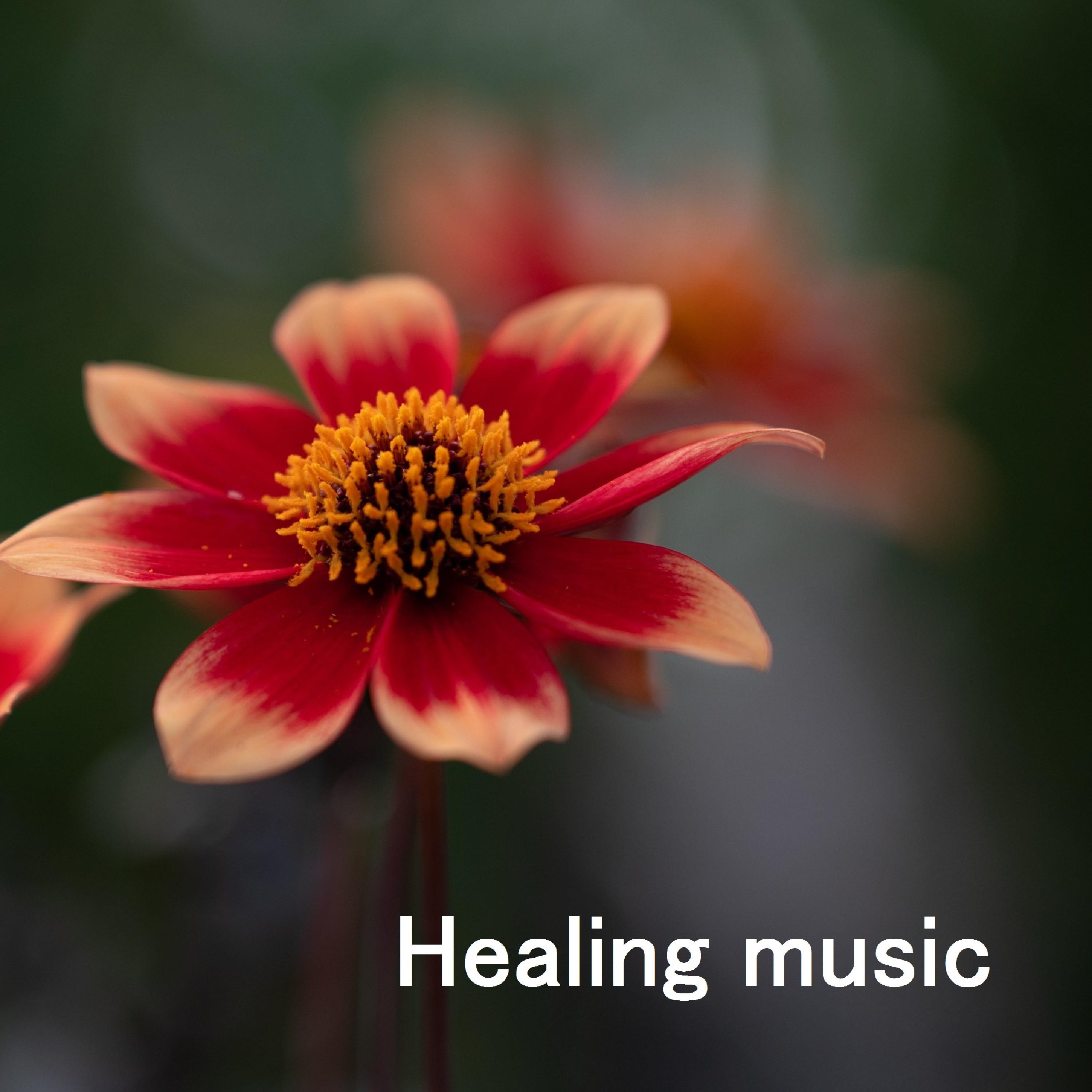 Music Therapy - Zen Meditation