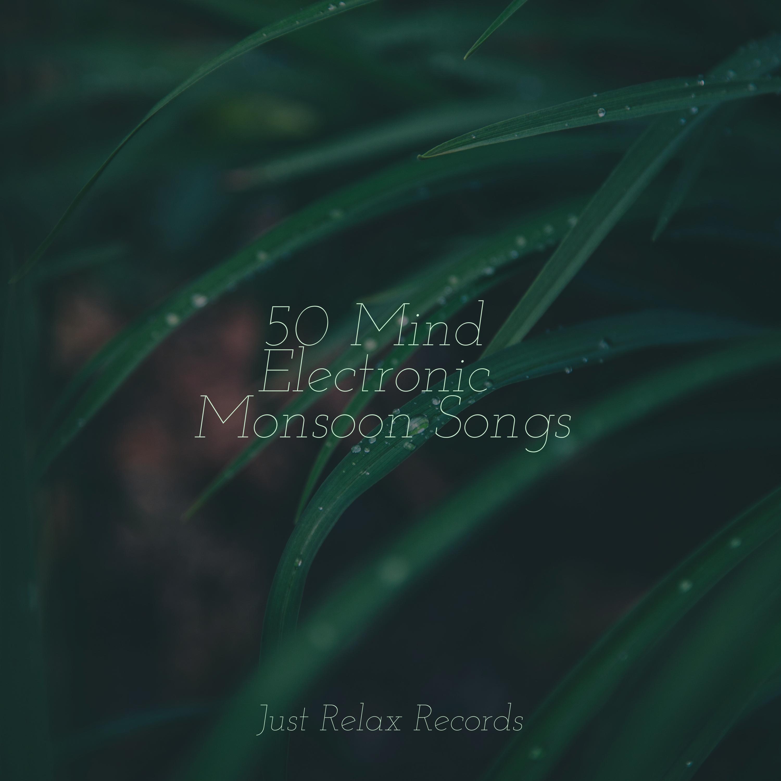 50 Mind Electronic Monsoon Songs