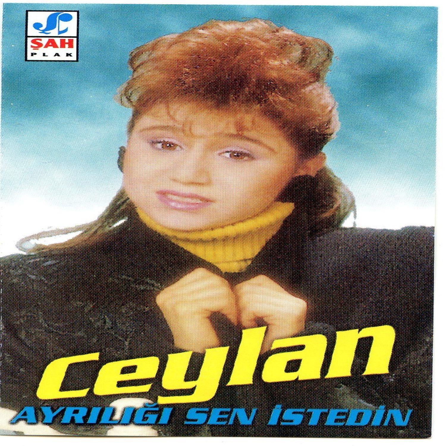 Ayrılığı Sen İstedin