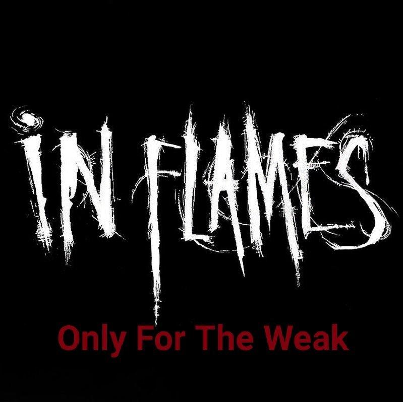 旋死金曲自赏：Only For The Weak