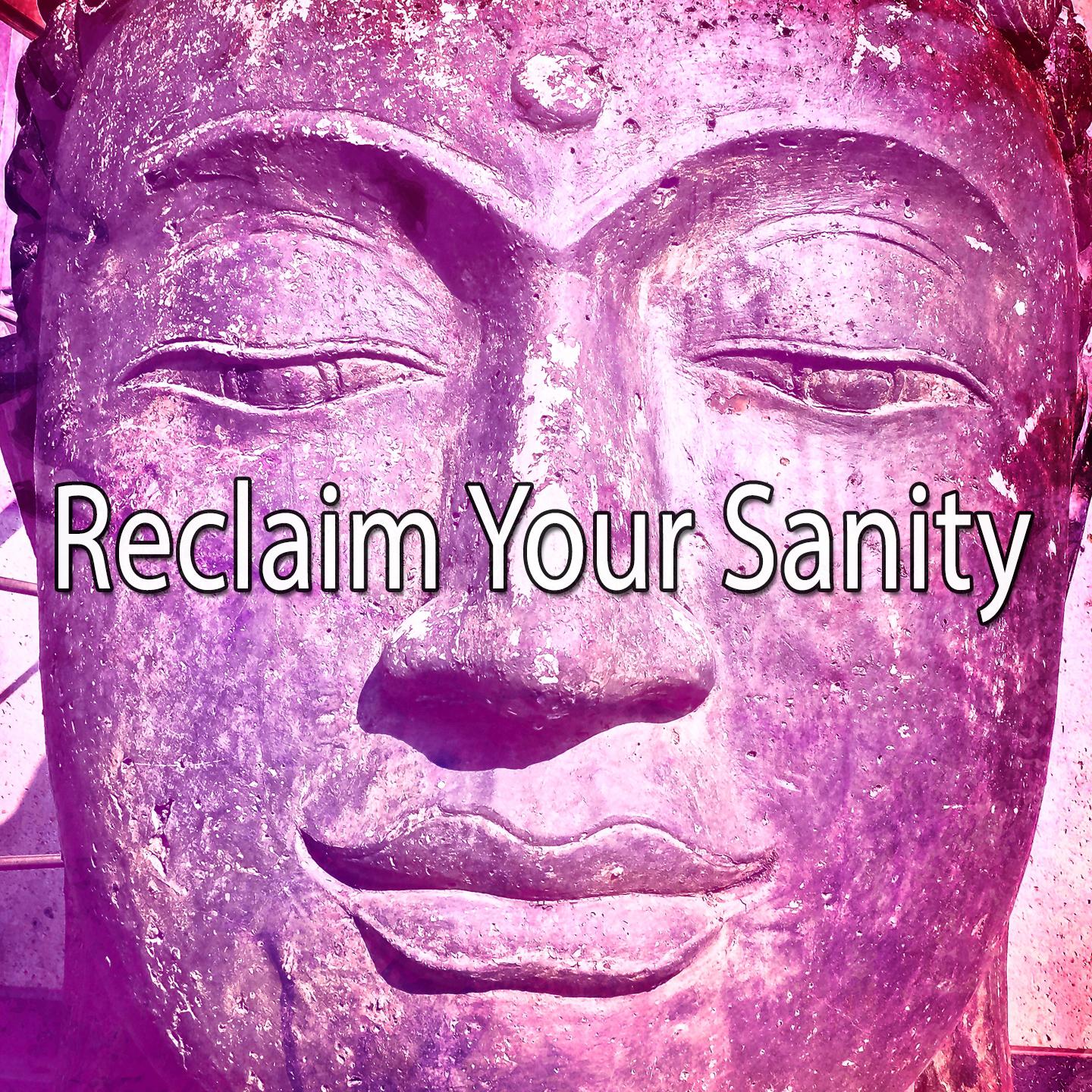 Reclaim Your Sanity专辑