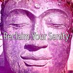 Reclaim Your Sanity专辑