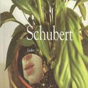 Schubert - Lieder专辑