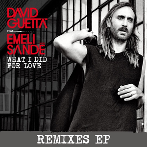 David Guetta - What I Did For Love 2015 (DJ洋葱 Remix