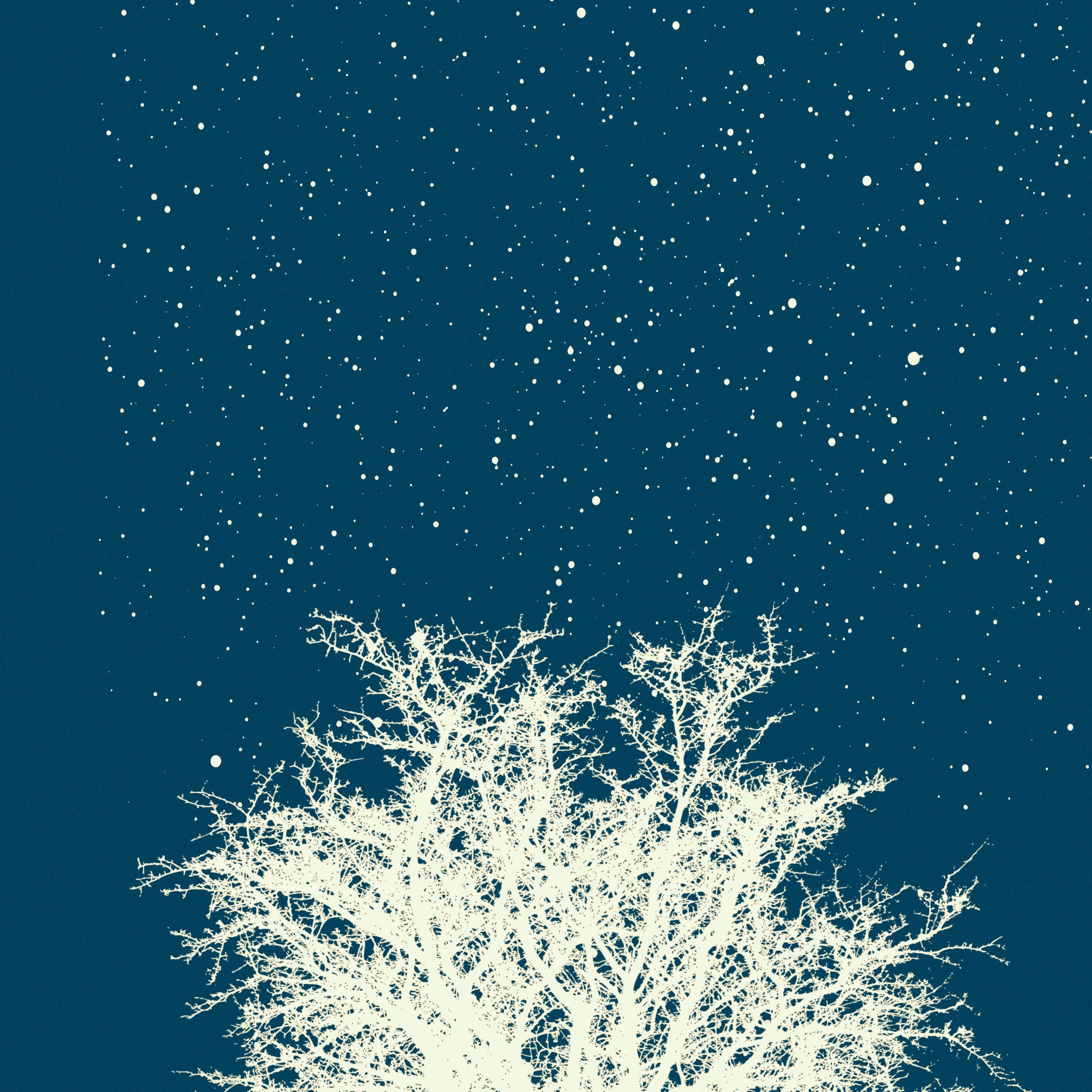 Silent Snowfall