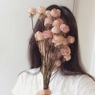 华语民谣 知花事 忆旧人