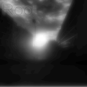 Root