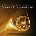 Berliner Philharmoniker Vol. 10 : Les Valses De Vienne专辑