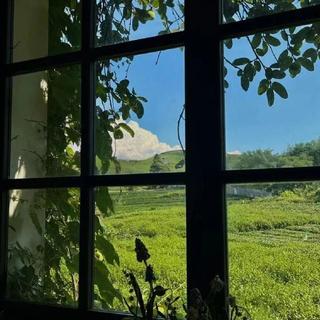 “生命是一万次春和景明”｜纯音乐
